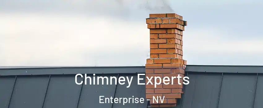 Chimney Experts Enterprise - NV