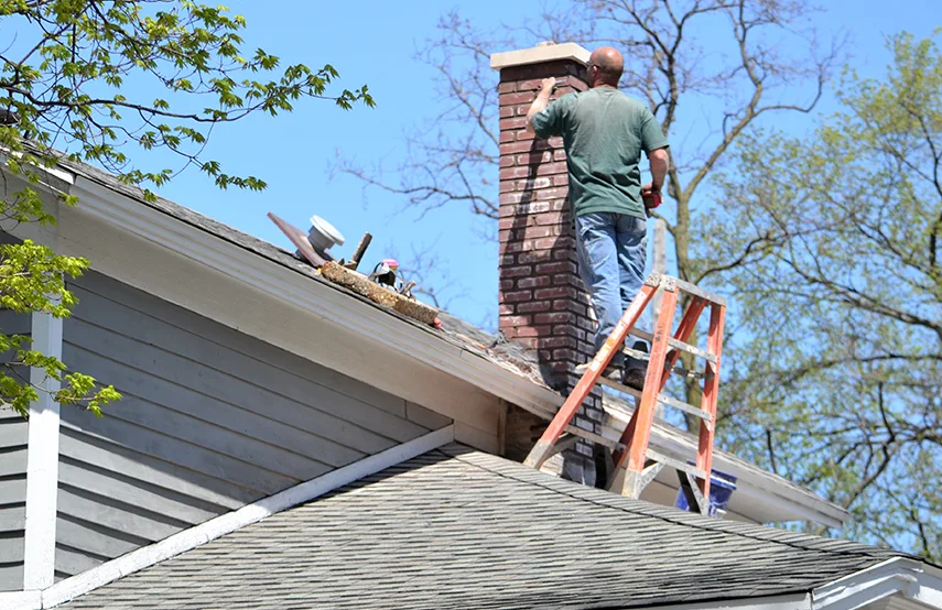 Chimney & Fireplace Inspections Services in Enterprise, NV